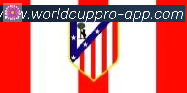 2026世界杯客户端下载合作伙伴
