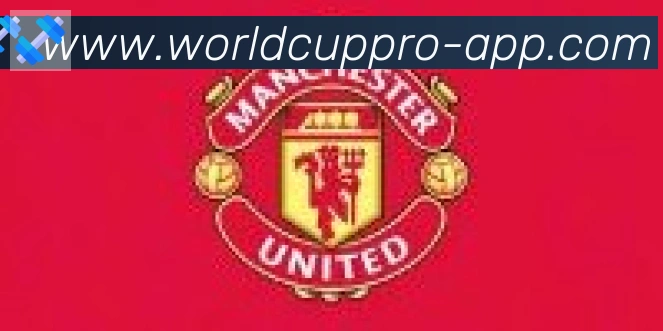 2026世界杯客户端下载合作伙伴